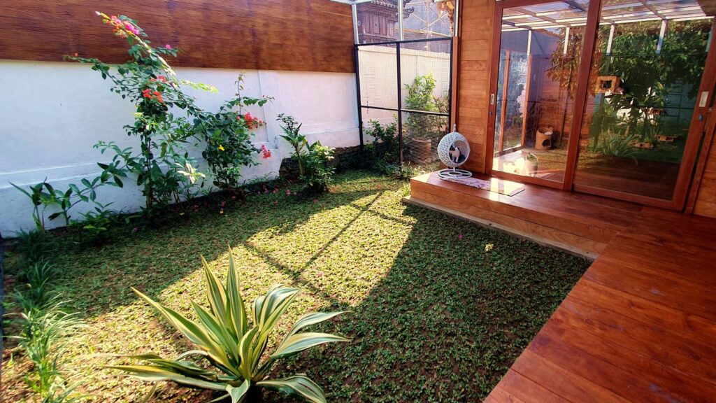 Secure outdoor garden at Bali Cat Boarding with natural grass, tropical plants, and direct access to the indoor cat living areas.