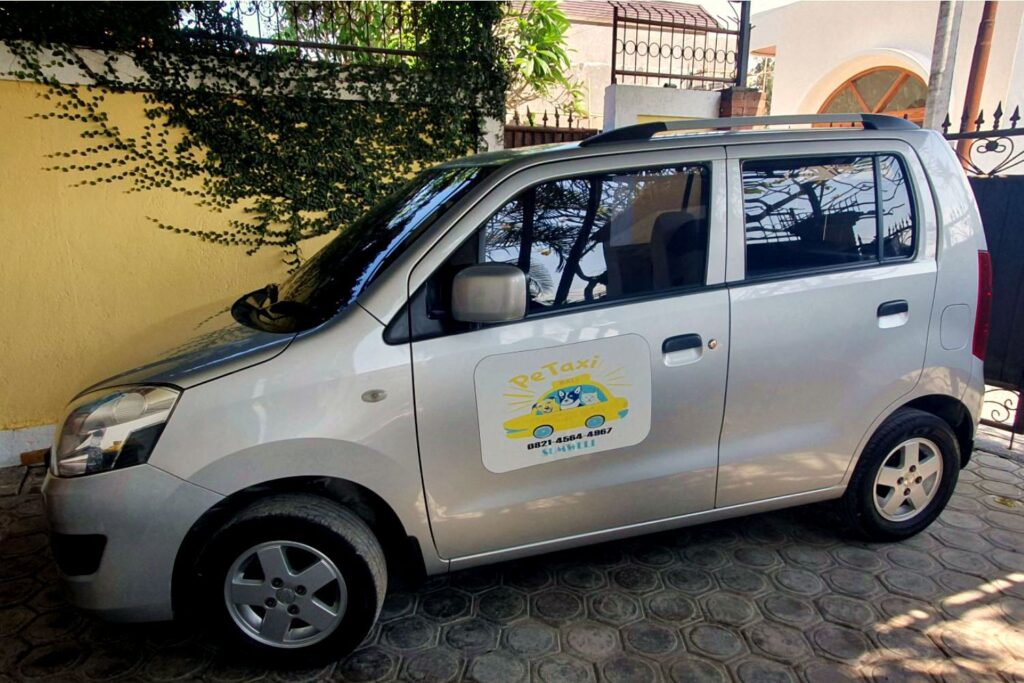 Pet Taxi vehicle providing safe cat transportation for Bali Cat Boarding guests.